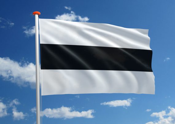 Koeriersbedrijf Delft vlag koerier