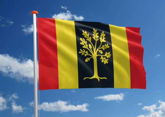 Koeriersbedrijf Waalwijk vlag koerier