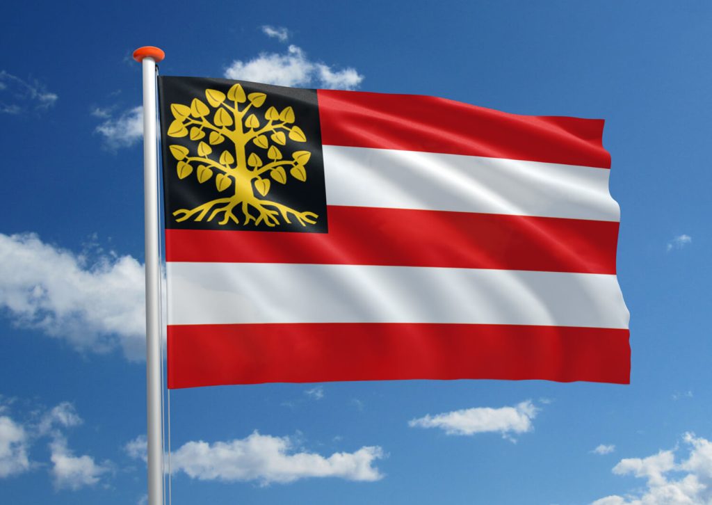 Vlag Den bosch
